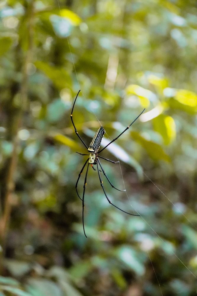 Photograph by Hemsith Meepage