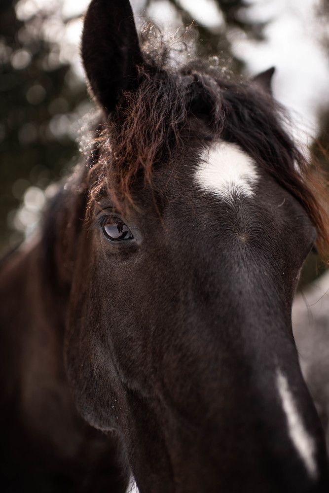 Photograph by Ирина Моисеенко