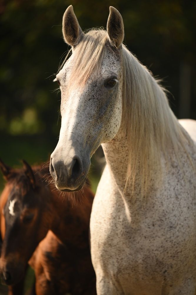 Photograph by Ирина Моисеенко