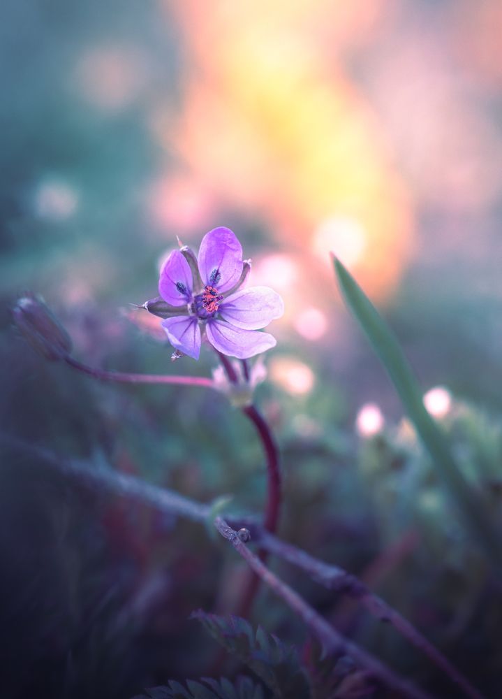 Photograph by Парфентьев Антон