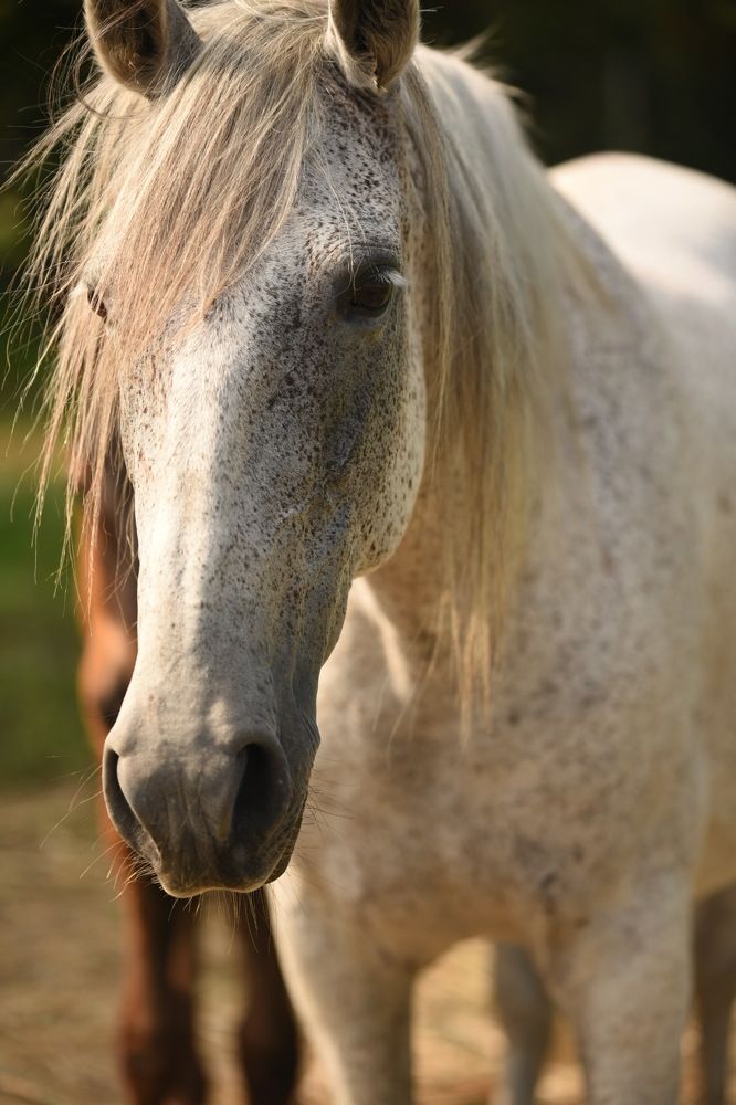 Photograph by Ирина Моисеенко