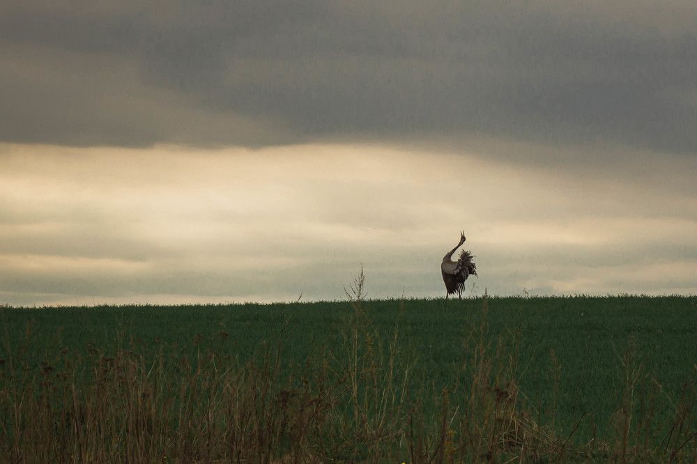 Photograph by Светлана Гонская