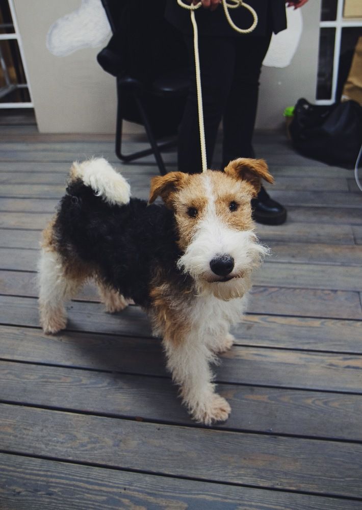 Photograph by Денис Лапшин