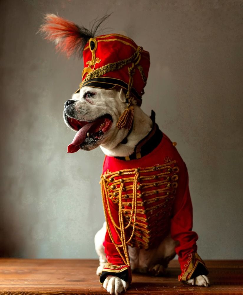 Photograph by Валентина Волкова