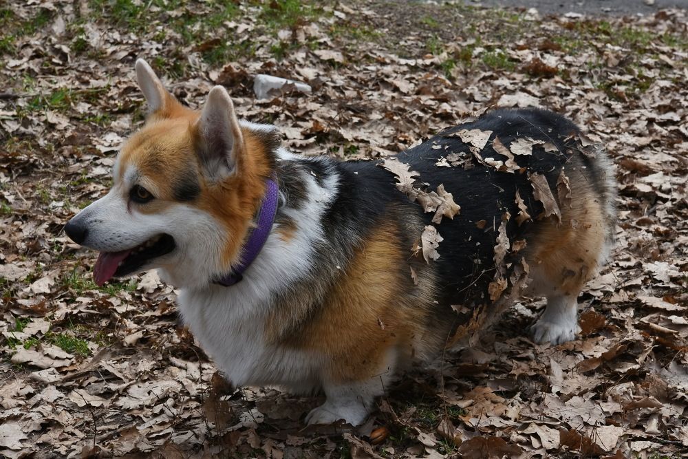 Photograph by Юрий Платухин