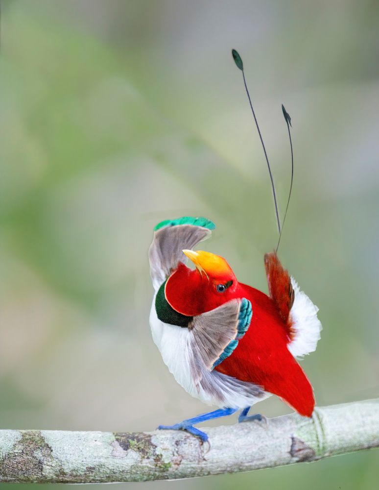 Photograph by Dustin Chen