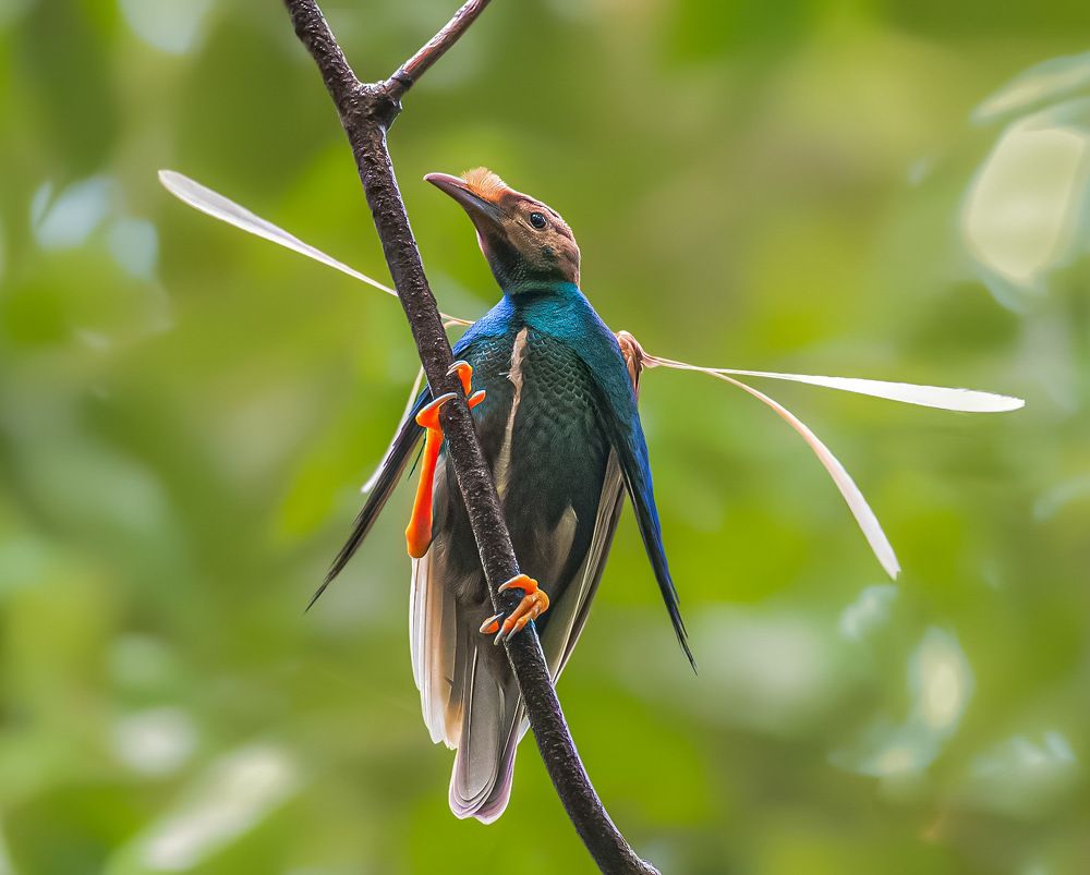 Photograph by Dustin Chen