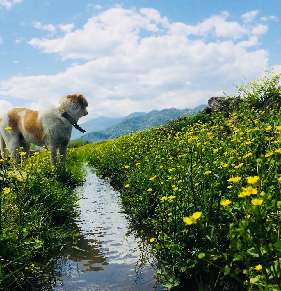 Photograph by hanie rashidi