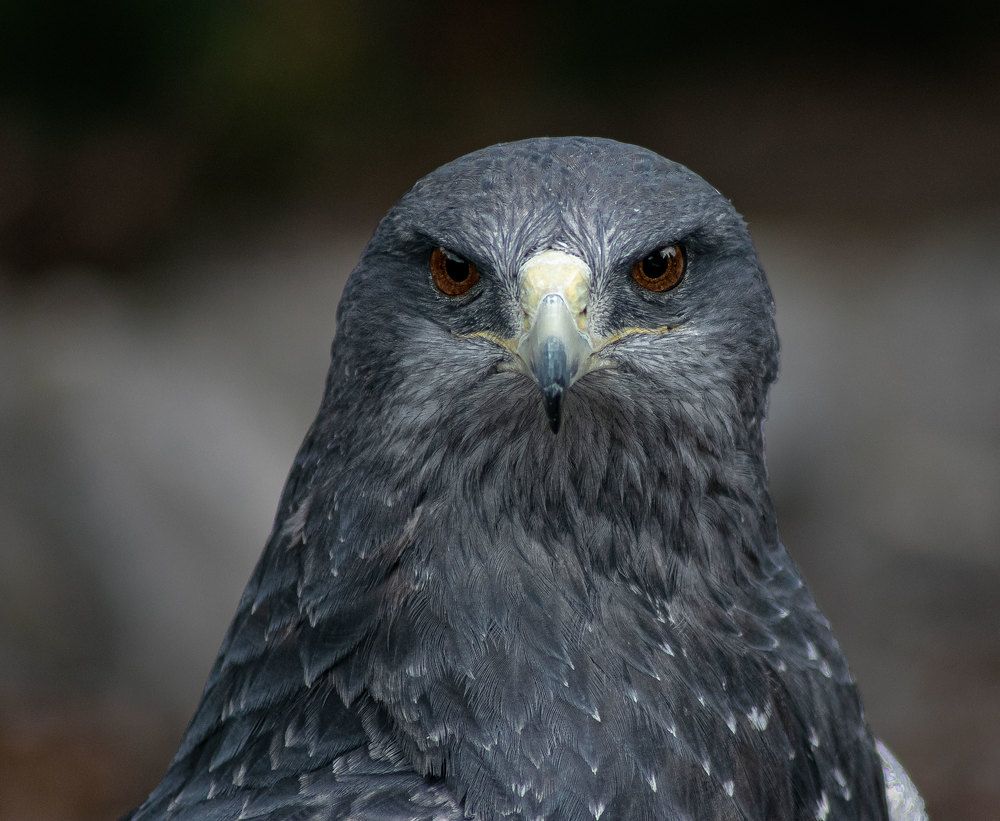 Photograph by Yauri Anrango