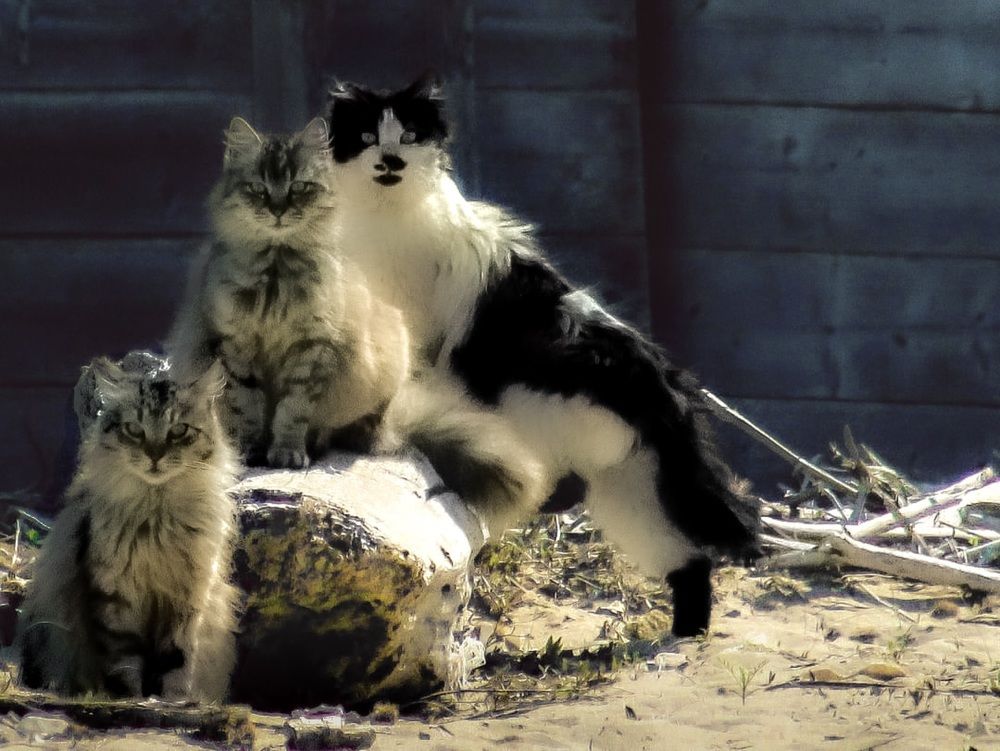 Photograph by Giuseppe Catalano