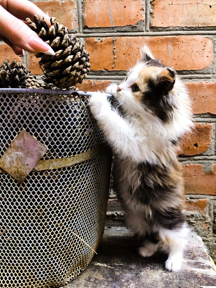 Photograph by Анастасия