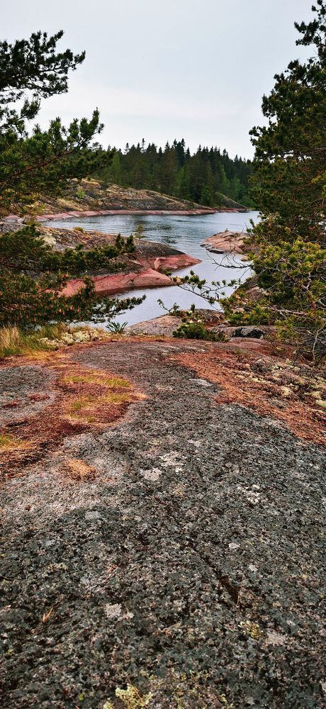 Photograph by Анастасия Шиманская