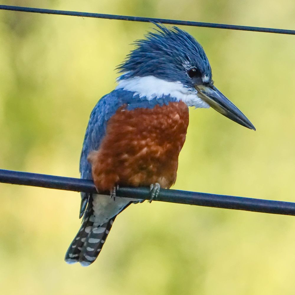 Photograph by Karina Elena Bergagna