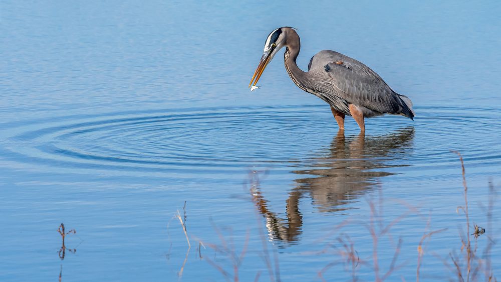 Photograph by Christabel Way