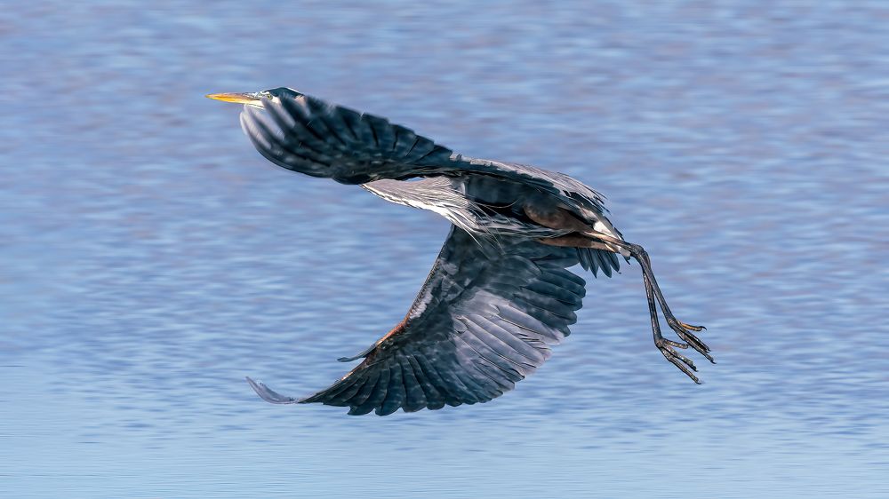 Photograph by Christabel Way