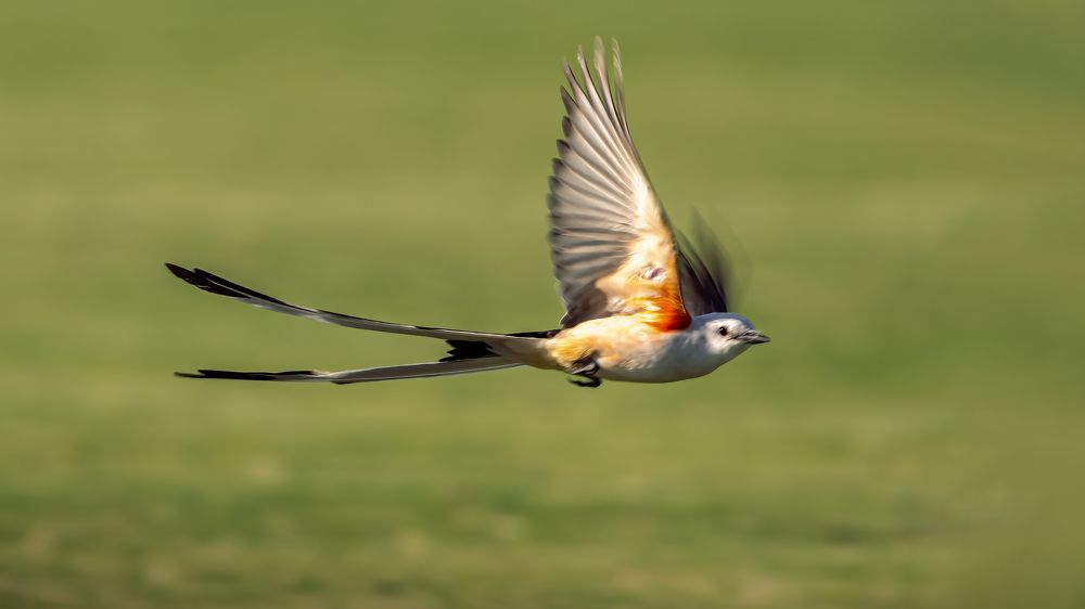 Photograph by Christabel Way