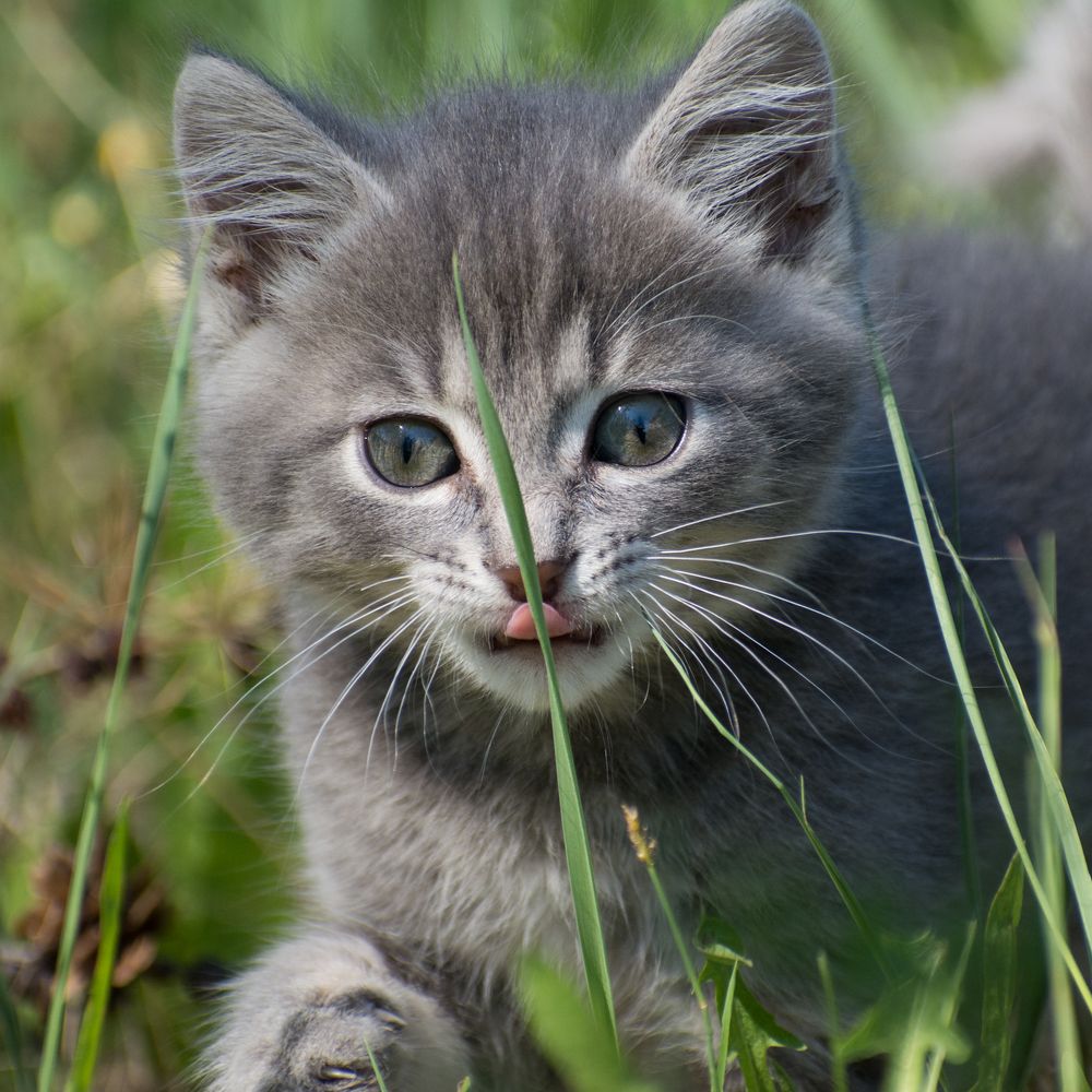 Мир за дверью