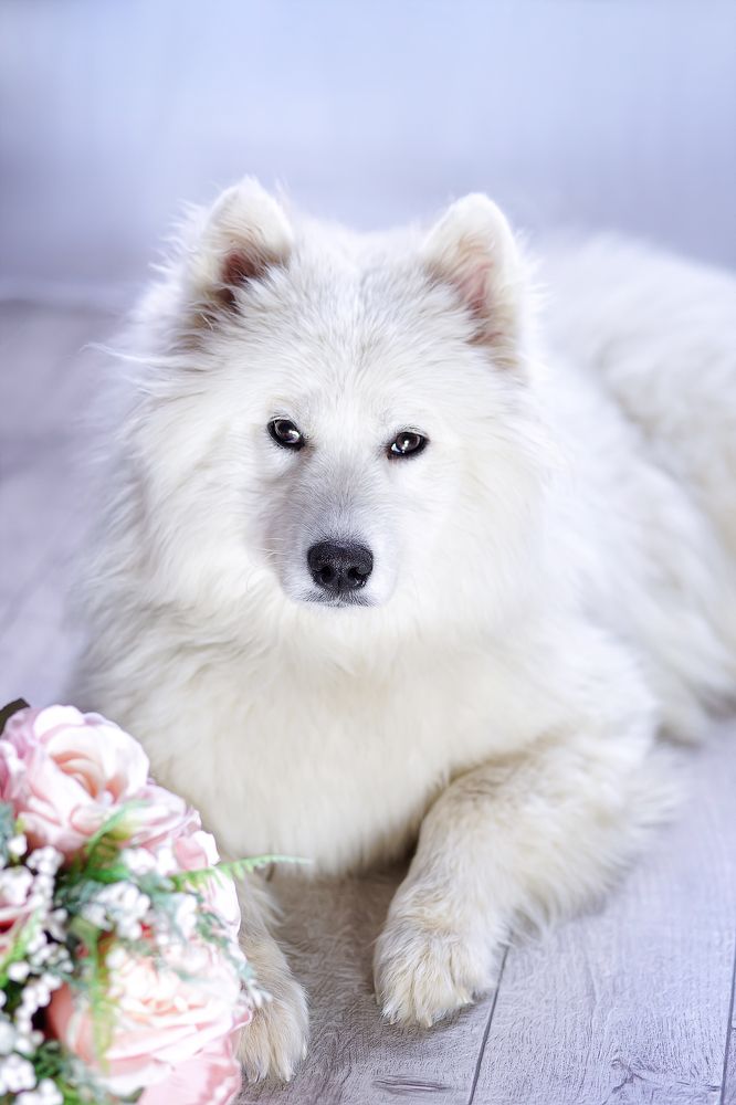 Photograph by Анна Гайнуллина