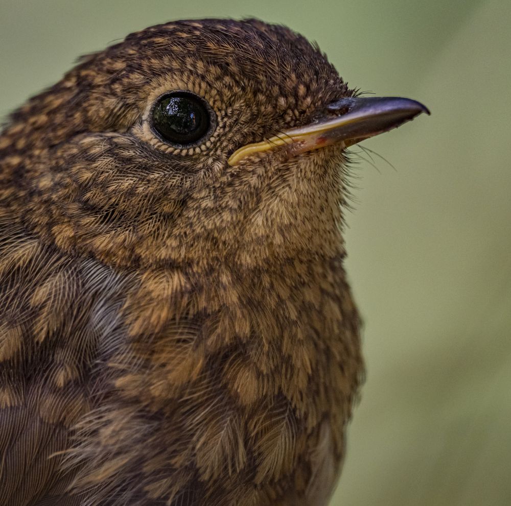 Photograph by Курлянцев Алексей