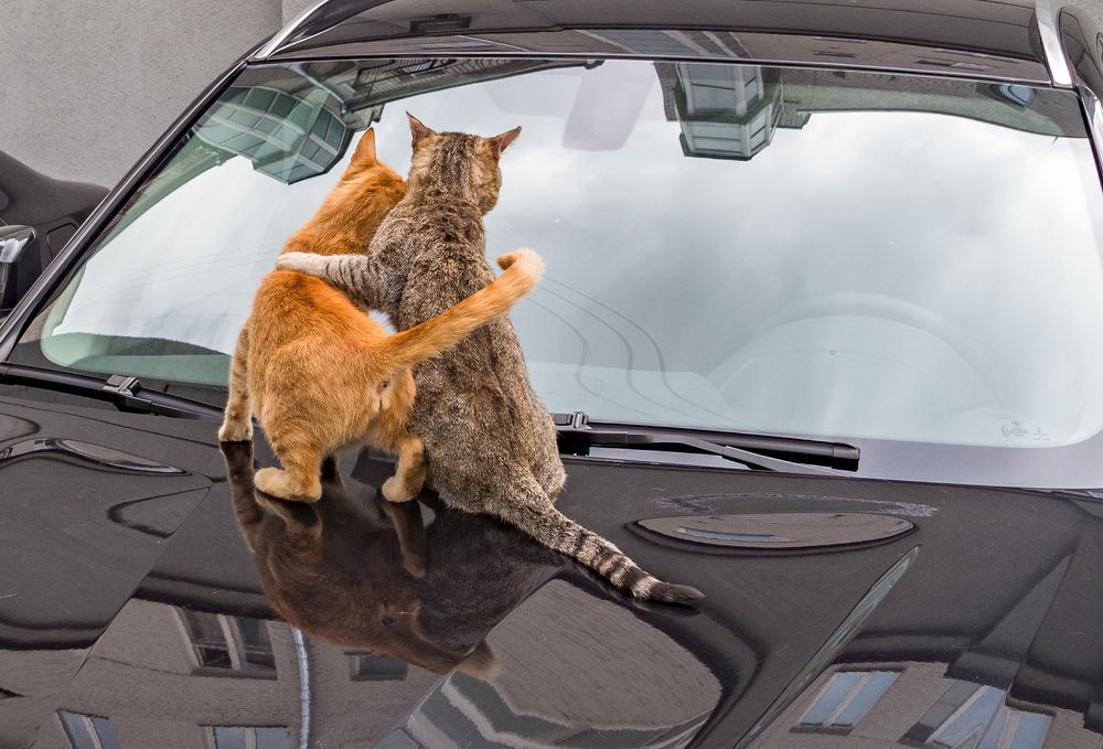 Photograph by Курлянцев Алексей