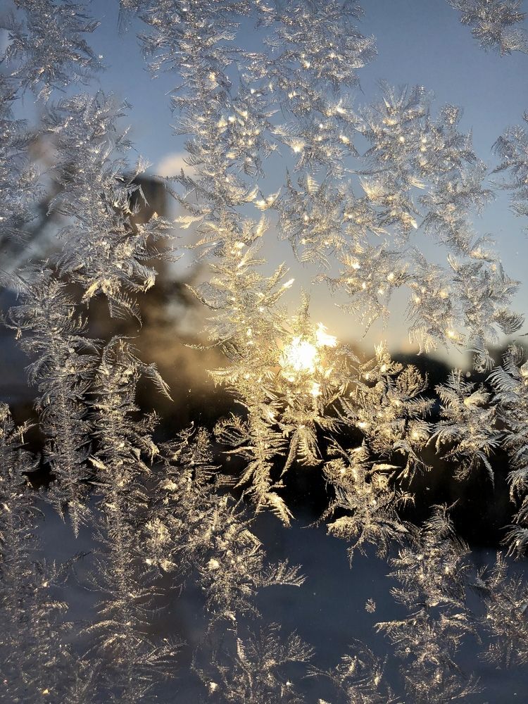 Photograph by Валерия Шишлова