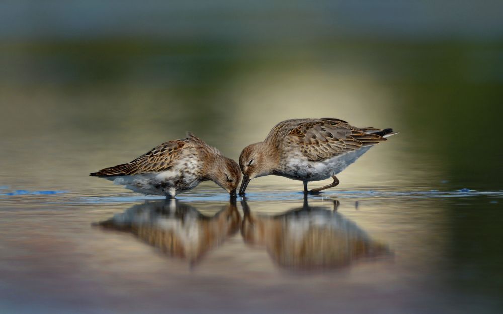 Photograph by Светлана Медведева