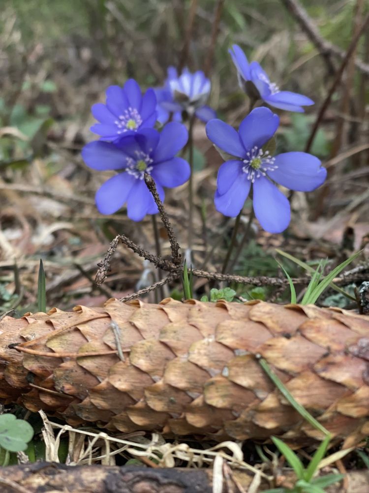 Photograph by Катерина