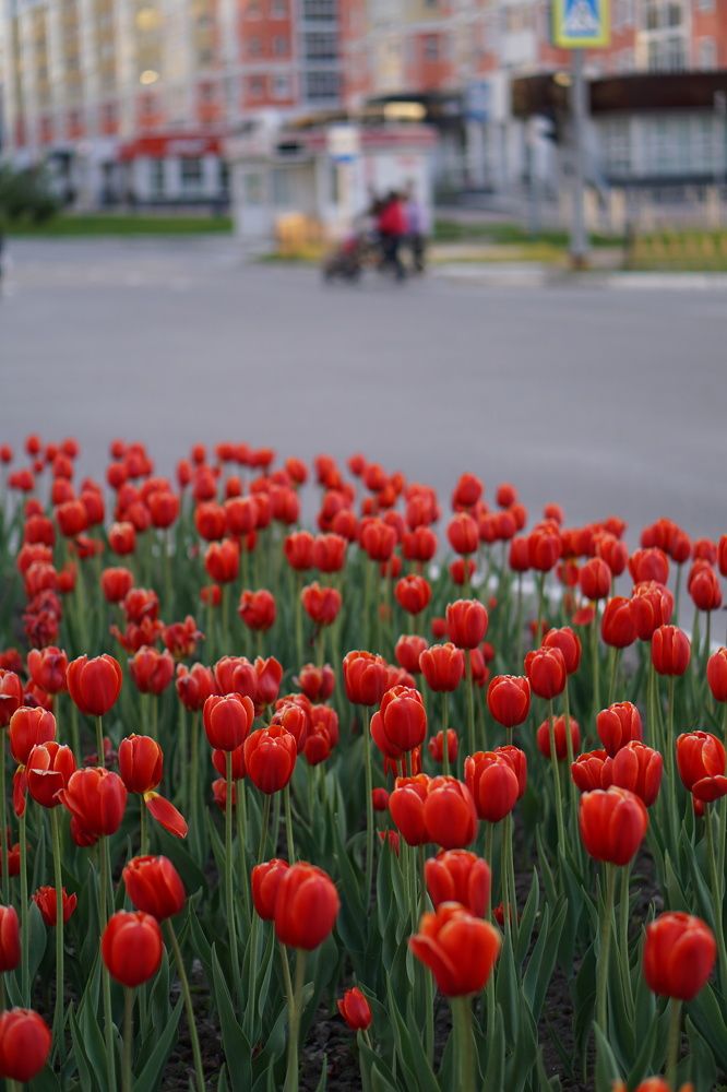 Photograph by Андрей Нурулин