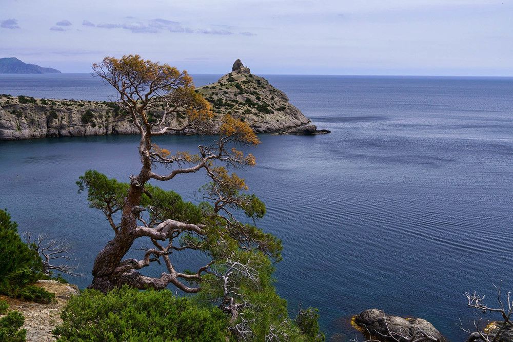 Photograph by Михаил Баевский