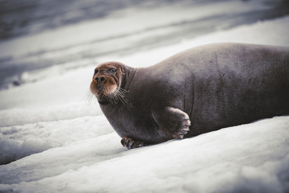 Photograph by Валентин Колинько