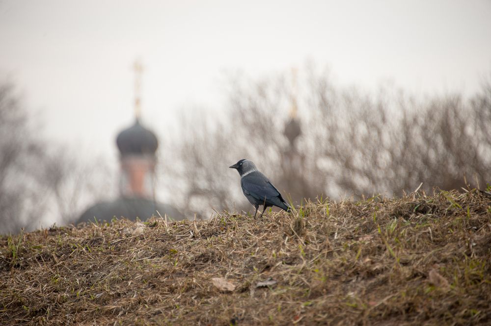 Photograph by Валерий