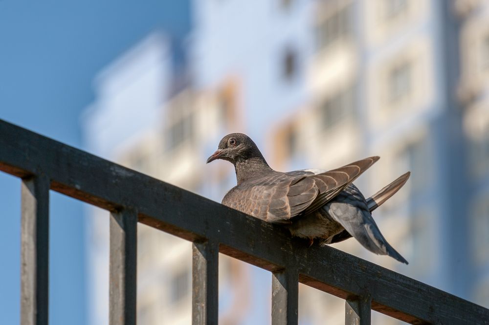 Photograph by Валерий