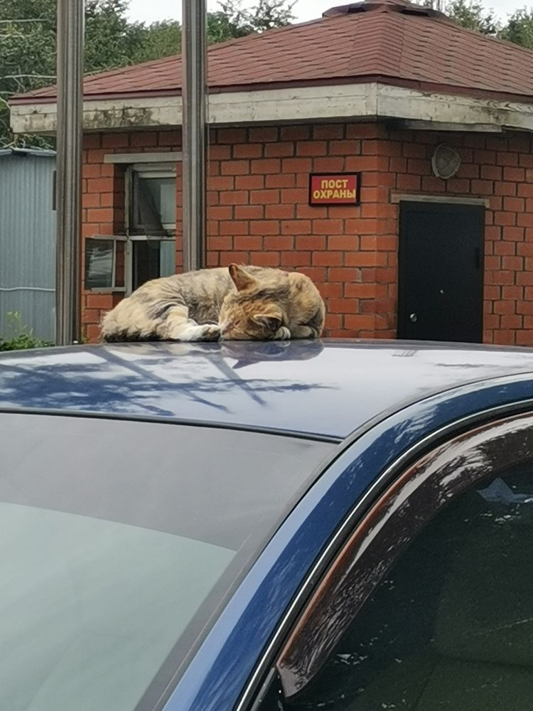 Пост охраны