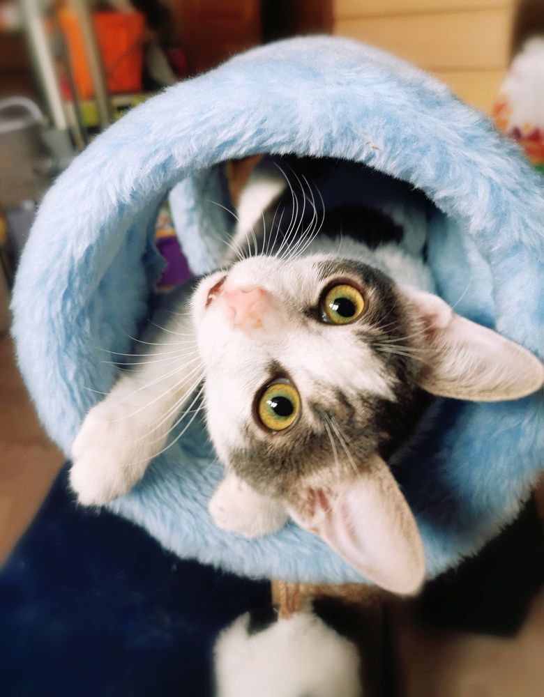 Фотография автора Антонина