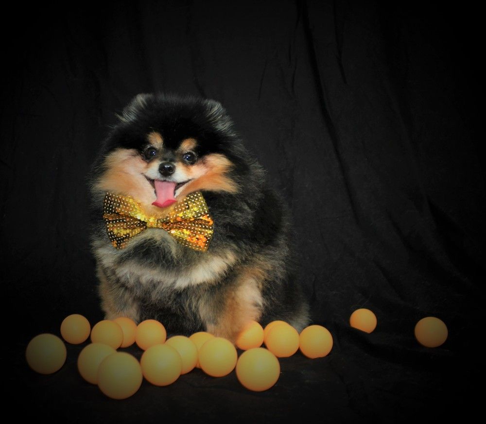 Photograph by ILONA OTRUTSKAYA