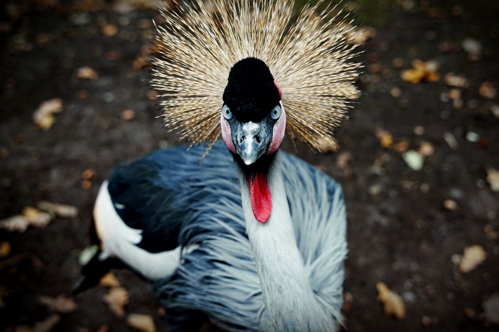 Photograph by Армен Арутюнов