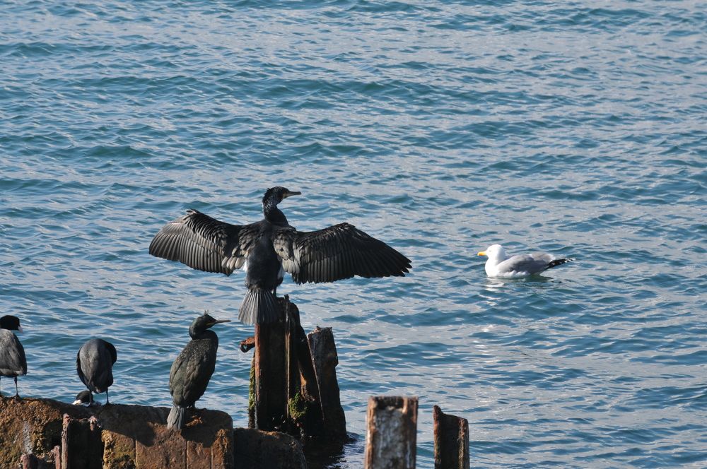 Photograph by Muzaffer Sütlüoğlu