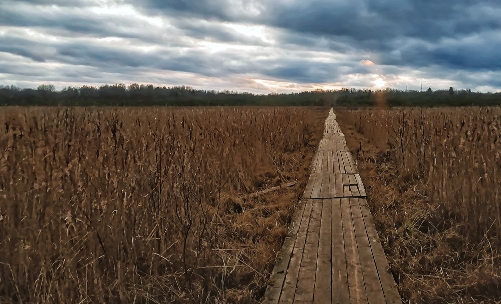 Photograph by андрей мелета