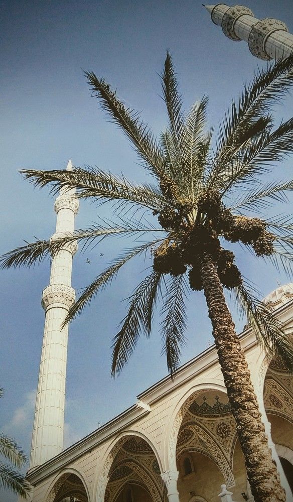 Photograph by Вадим Буцыкин