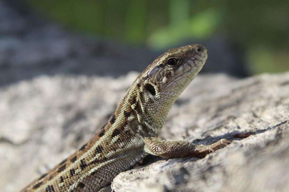 Photograph by Елена Калганова