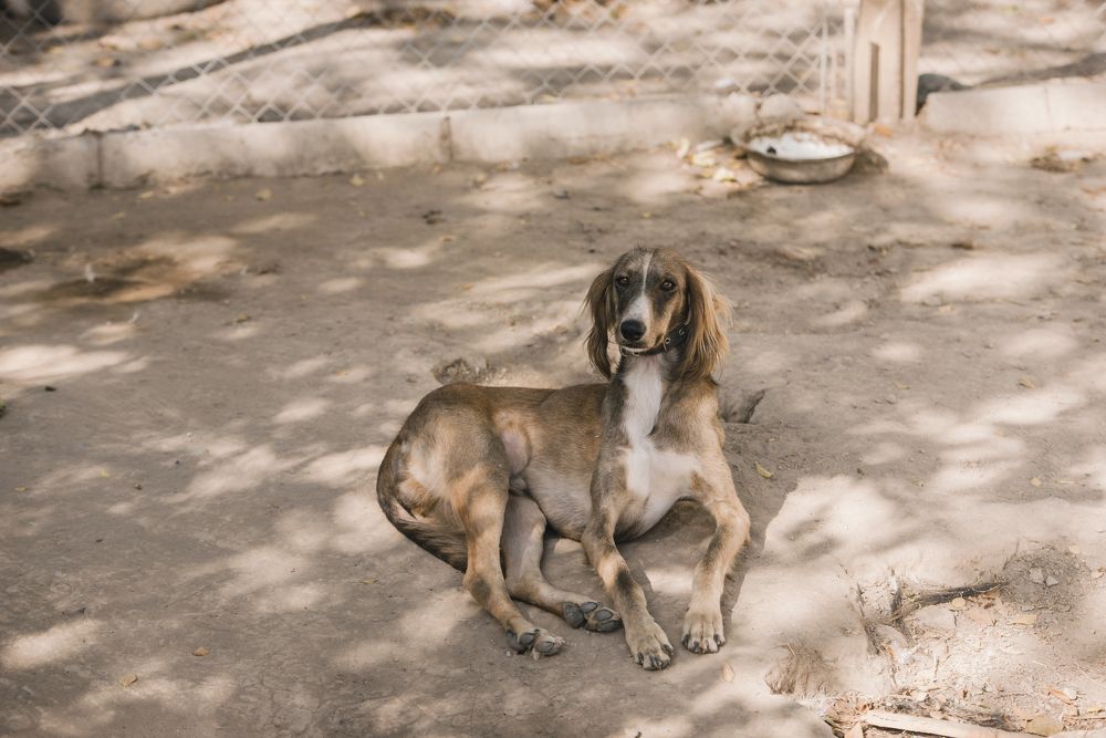 Photograph by Azamat Mukanov