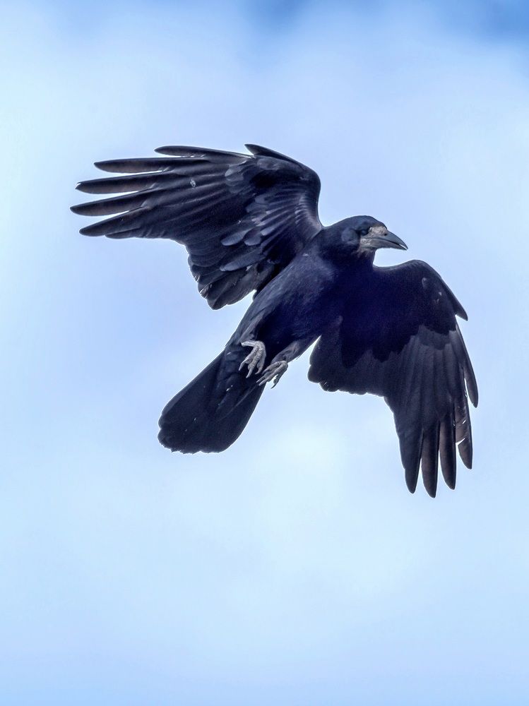 Photograph by Ильдар Гараев