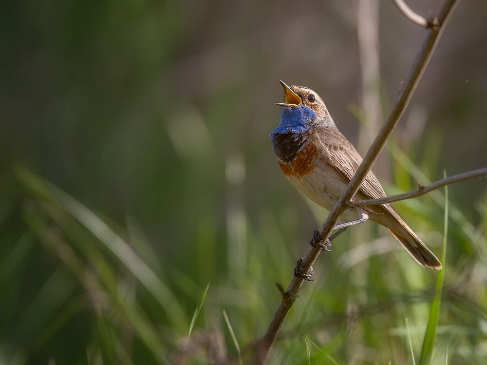 Фотография автора Андрей Жила