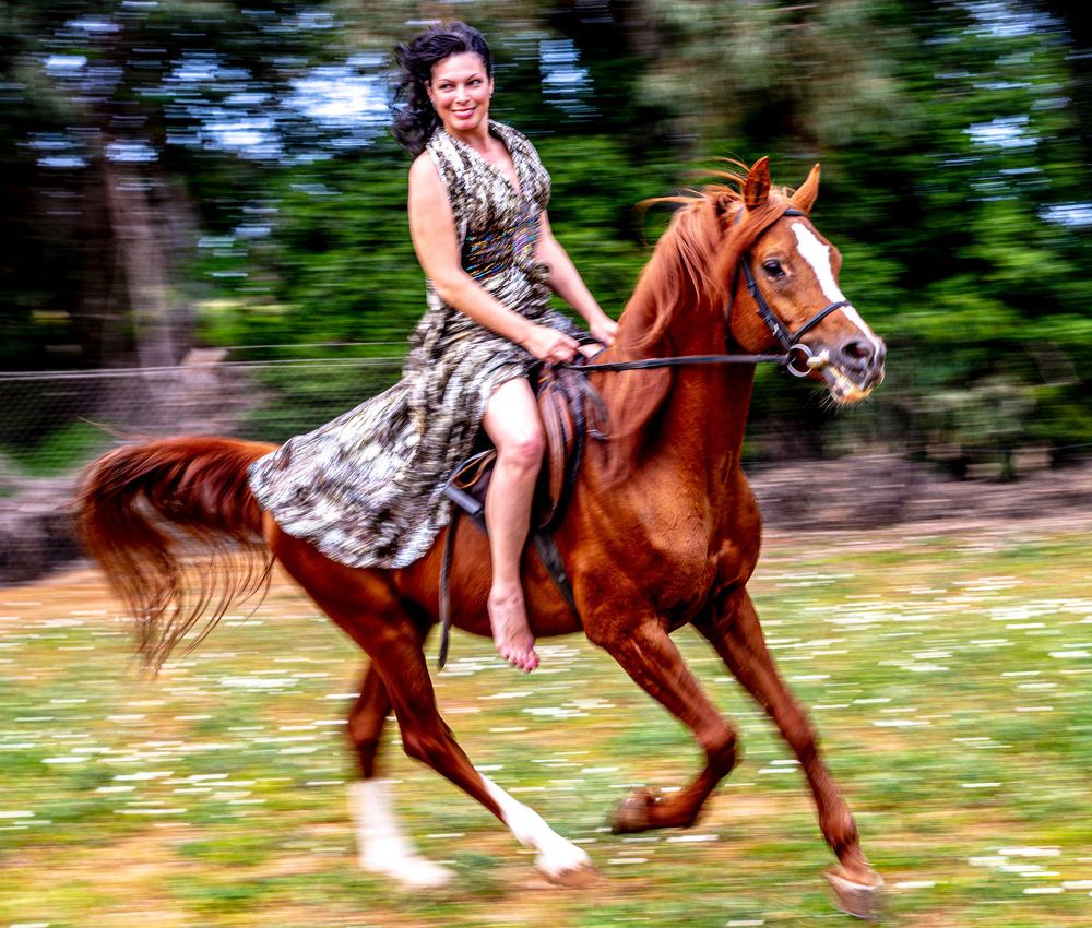 Фотография автора ADLER GOLDFARB