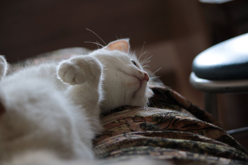 Фотография автора Никита Гутор