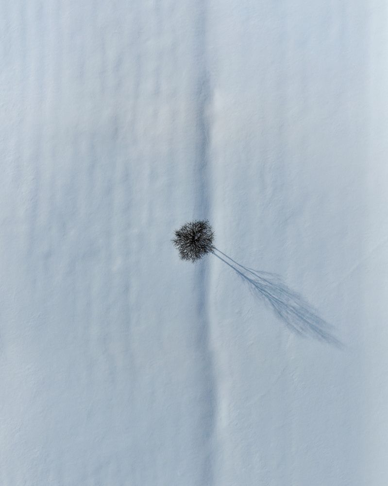 Photograph by Алина Янцен