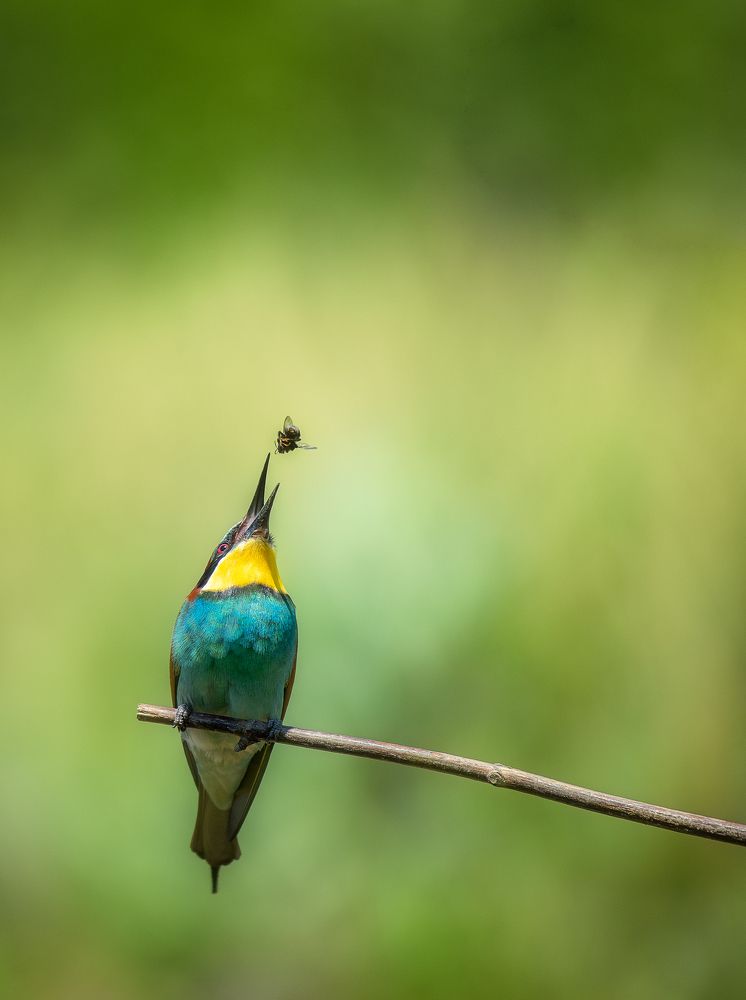 Фотография автора Андрей Жила