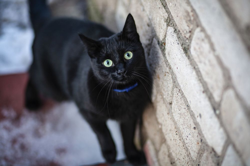 Фотография автора Кристина