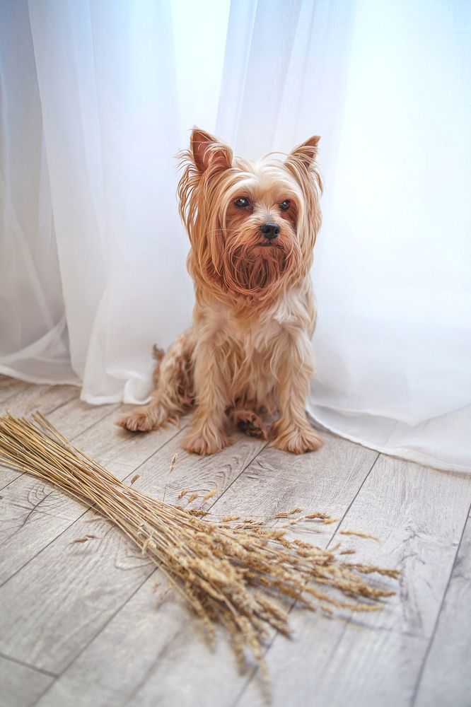 Photograph by Анна Гайнуллина