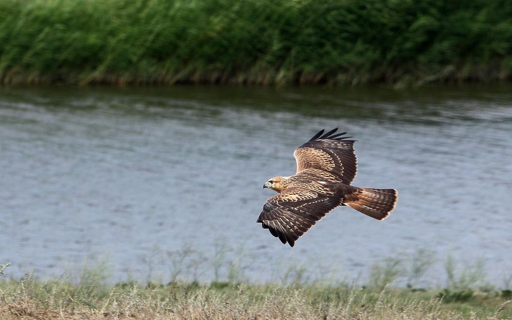 Photograph by Мурат Кужахметов